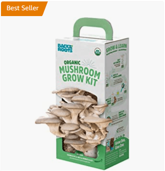 mushroom grow kit