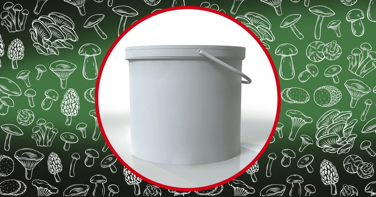 bucket for mushroom growing