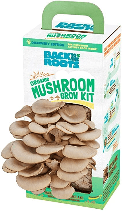 mushroom grow kit