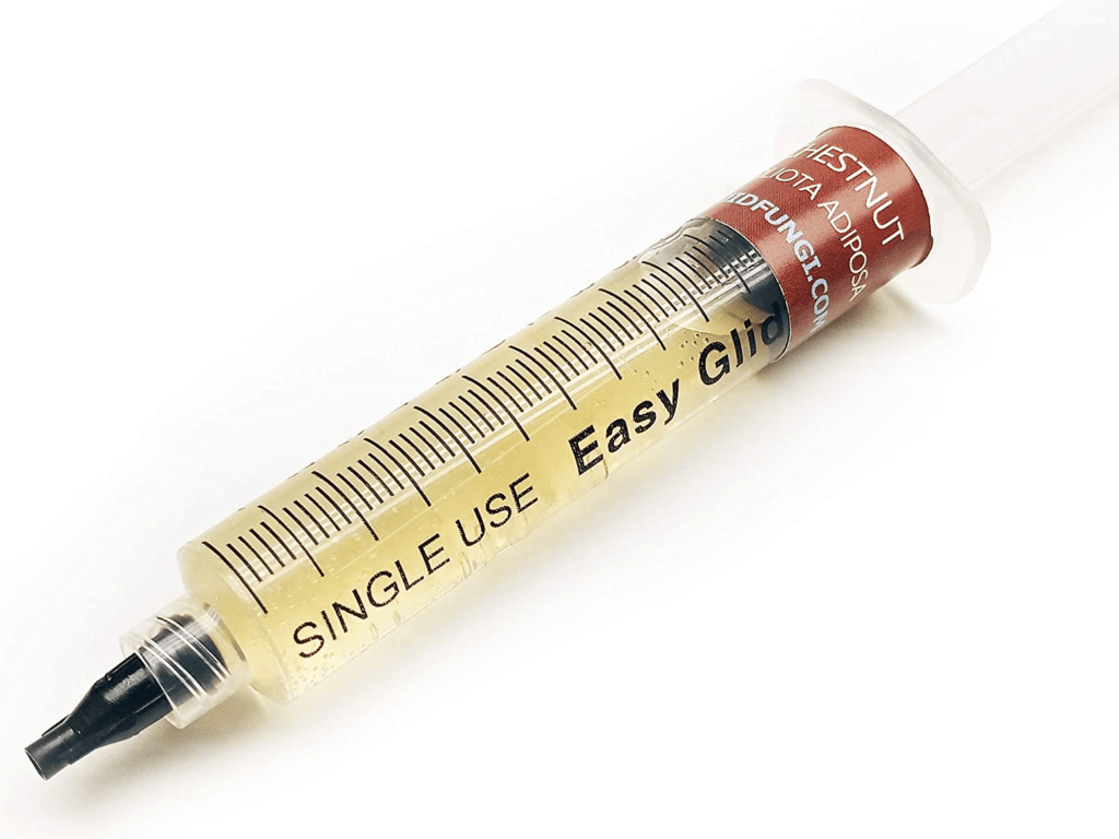 image of mushroom spore syringe