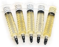 5 oyster mushroom spore syringes