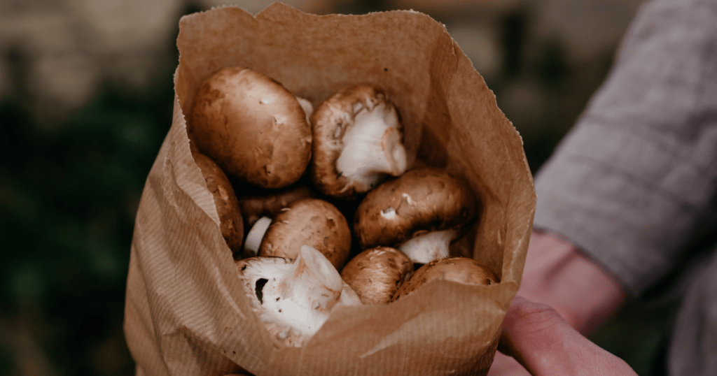 mushroom storage