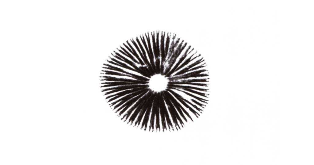 completed mushroom spore print