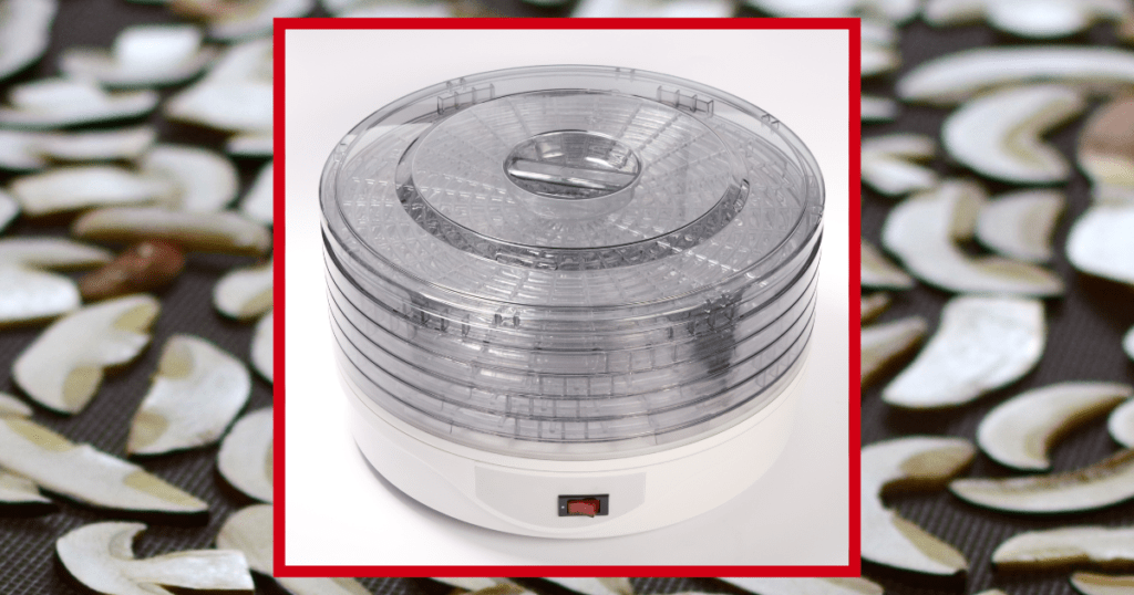 food dehydrator for drying mushrooms