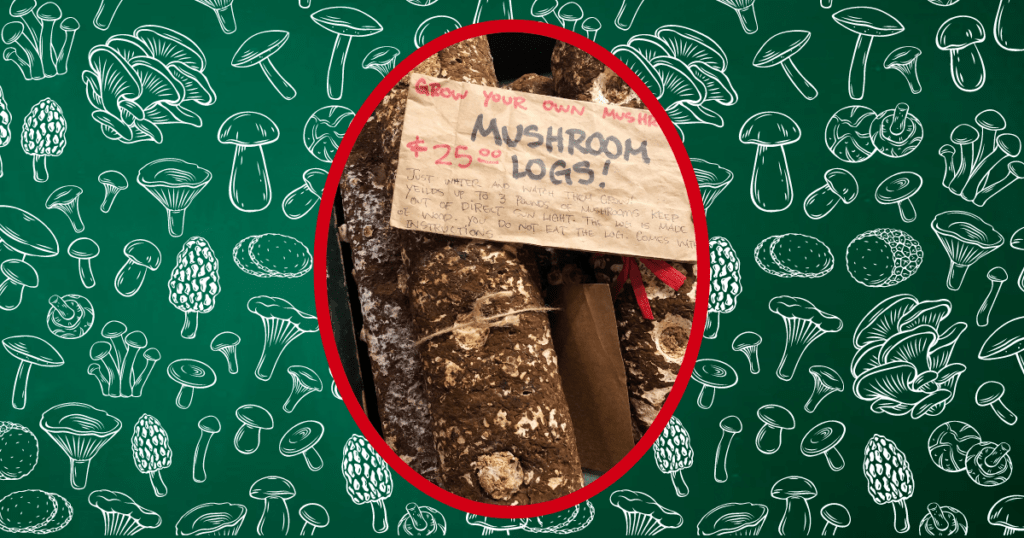 mushroom logs for sale
