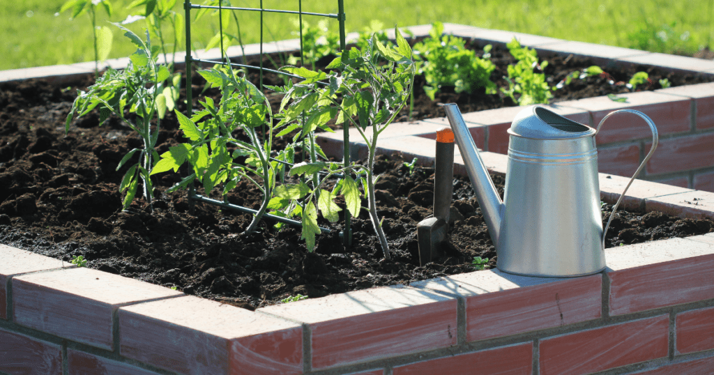 brick raised mushroom grow bed