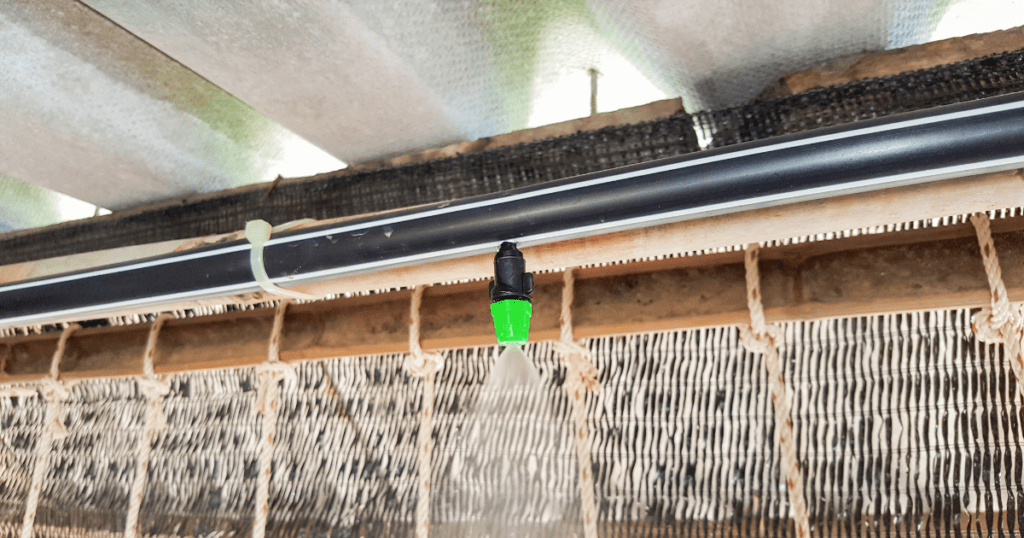 misting in a greenhouse