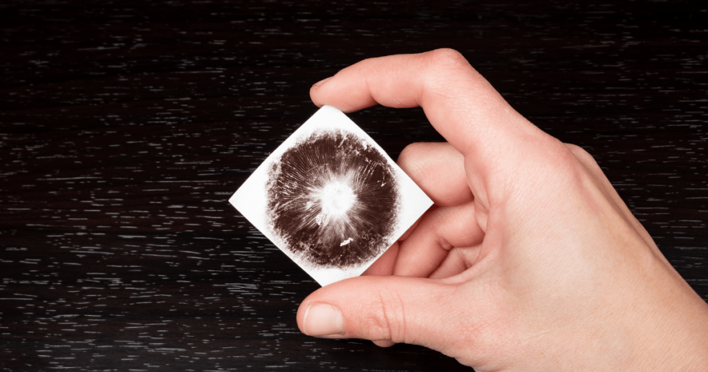 Mushroom Spore Print