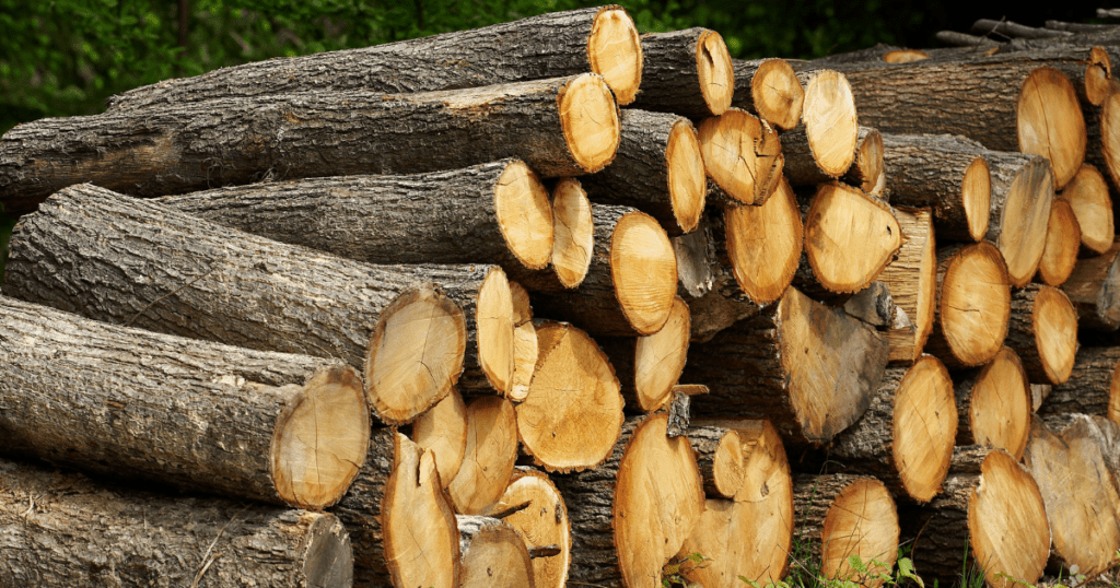 Oak Logs