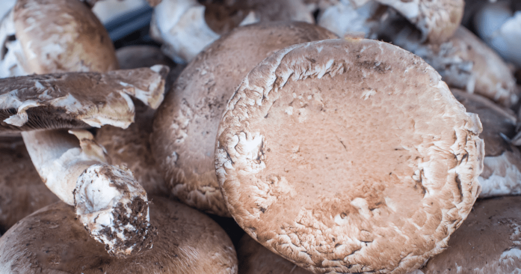 Portobello Mushrooms