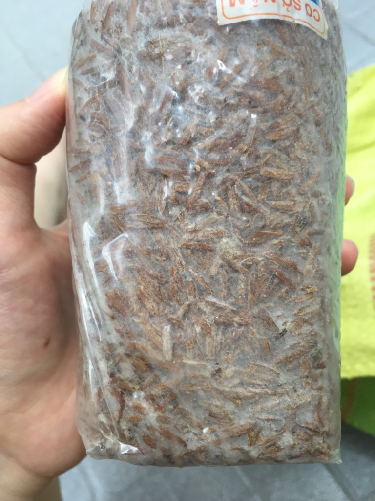 mushroom spawn bag