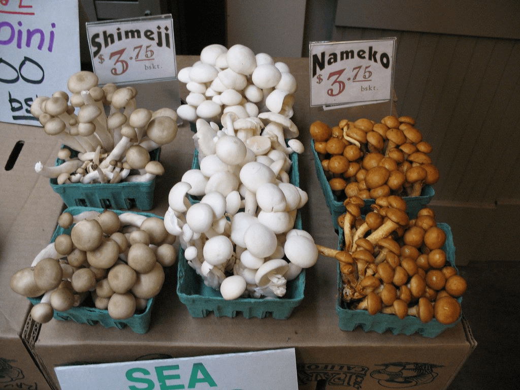 fresh mushrooms to sell