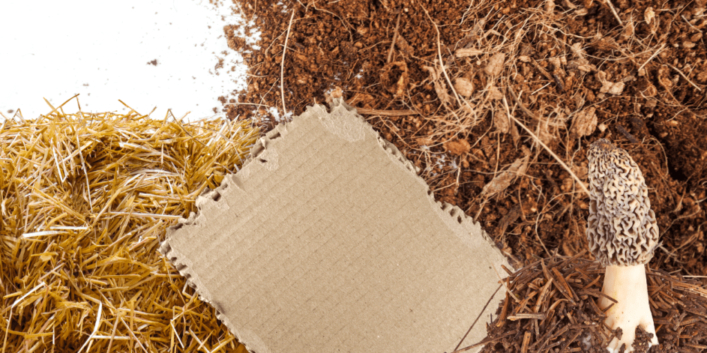 different mushroom substrates