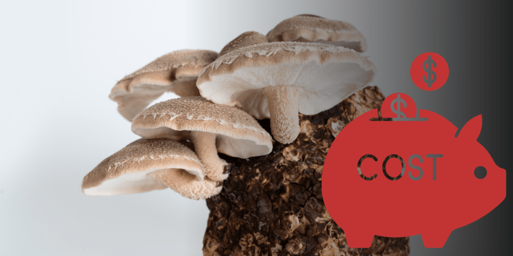 indoor vs outdoor mushroom growing cost