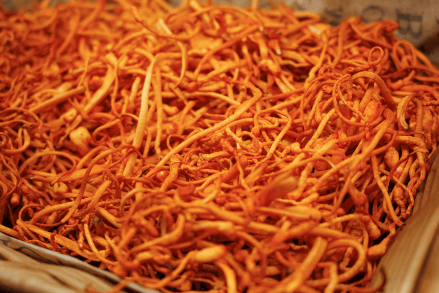 dried cordyceps mushrooms
