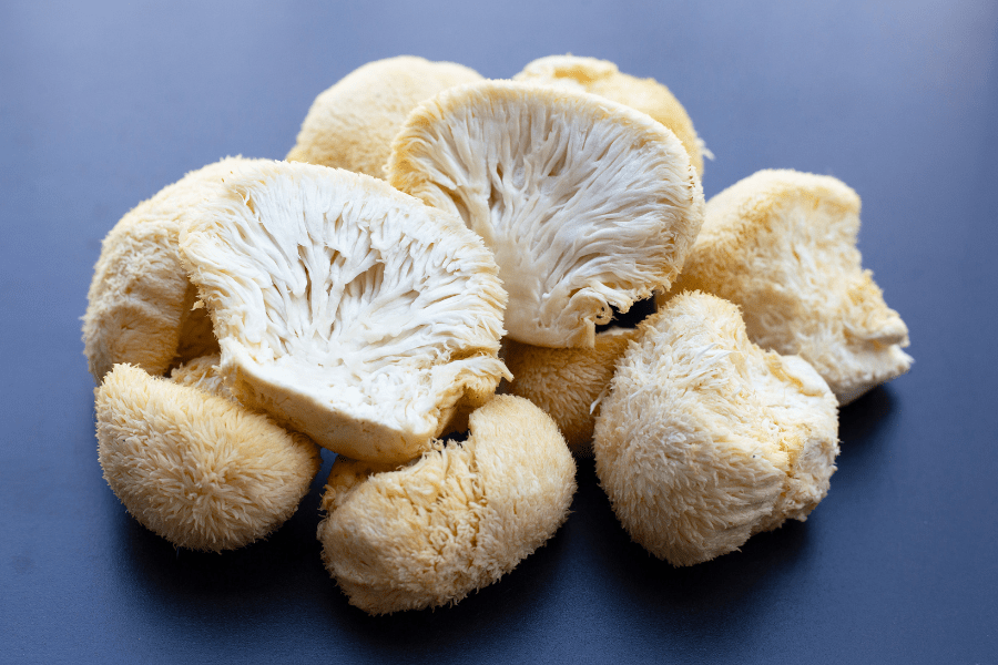 harvested lion's mane mushrooms