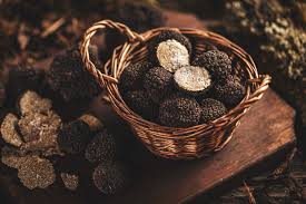 black truffles